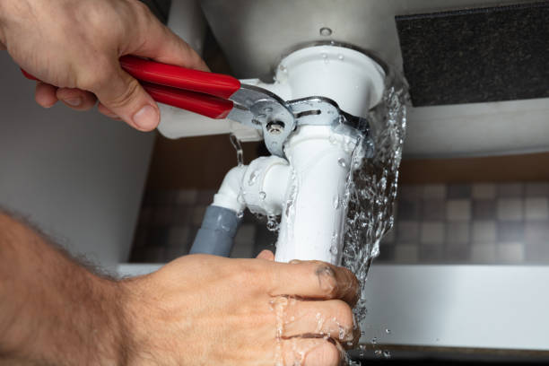 Best Sewage cleanup and water damage restoration  in Liolnton, NC