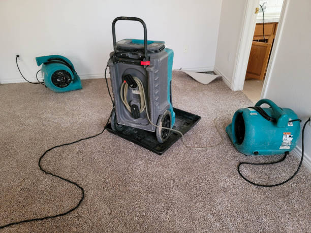 Best Ceiling water damage repair  in Liolnton, NC
