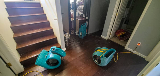 Best Flood restoration services  in Liolnton, NC