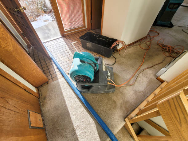 Best Carpet water damage restoration  in Liolnton, NC