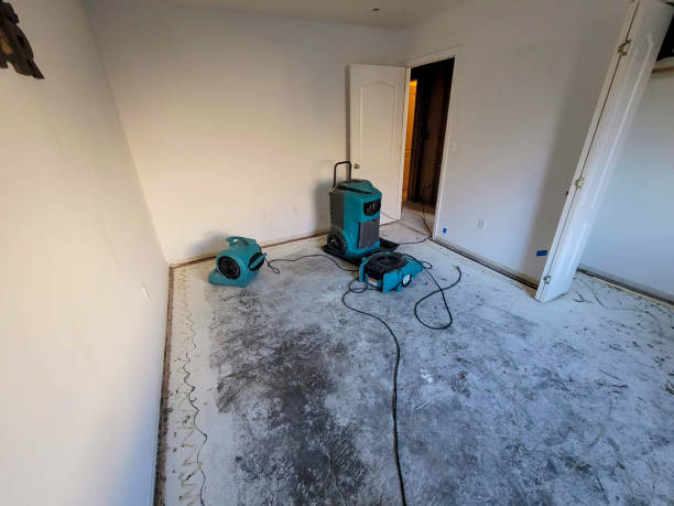 Best Emergency water damage restoration  in Liolnton, NC