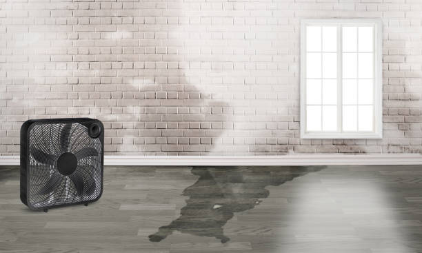 Best Water damage restoration insurance claims  in Liolnton, NC