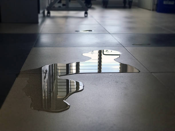 Best Water damage restoration services  in Liolnton, NC