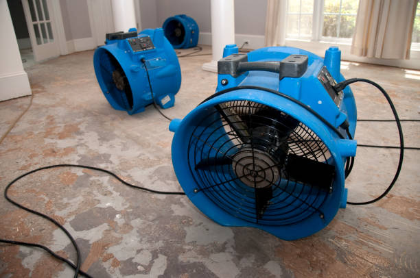 Best Water damage cleanup near me  in Liolnton, NC