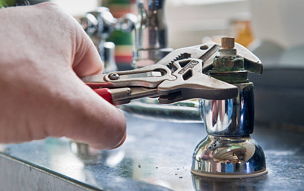 Best Flooded house restoration  in Liolnton, NC