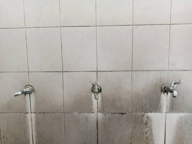 Best 24-hour water damage restoration  in Liolnton, NC