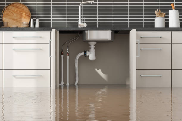 Best Water damage contractors near me  in Liolnton, NC