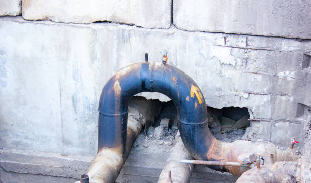 Best Flood restoration services  in Liolnton, NC